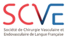 Logo SCVE